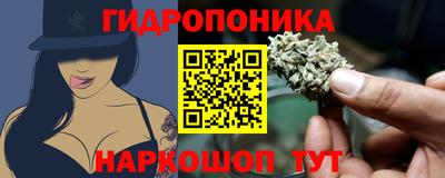 бошки Новокубанск