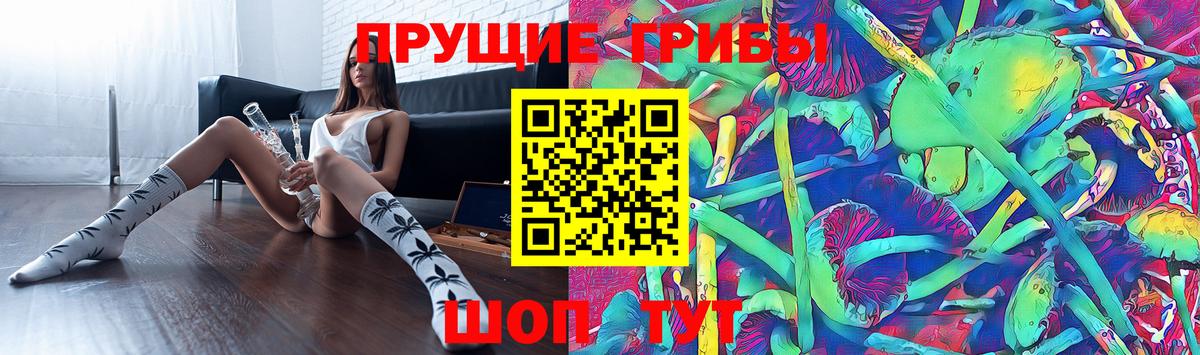 Галлюциногенные грибы мухоморы  Вход с VPN  Галлюциногенные грибы Cubensis  Волоколамск 