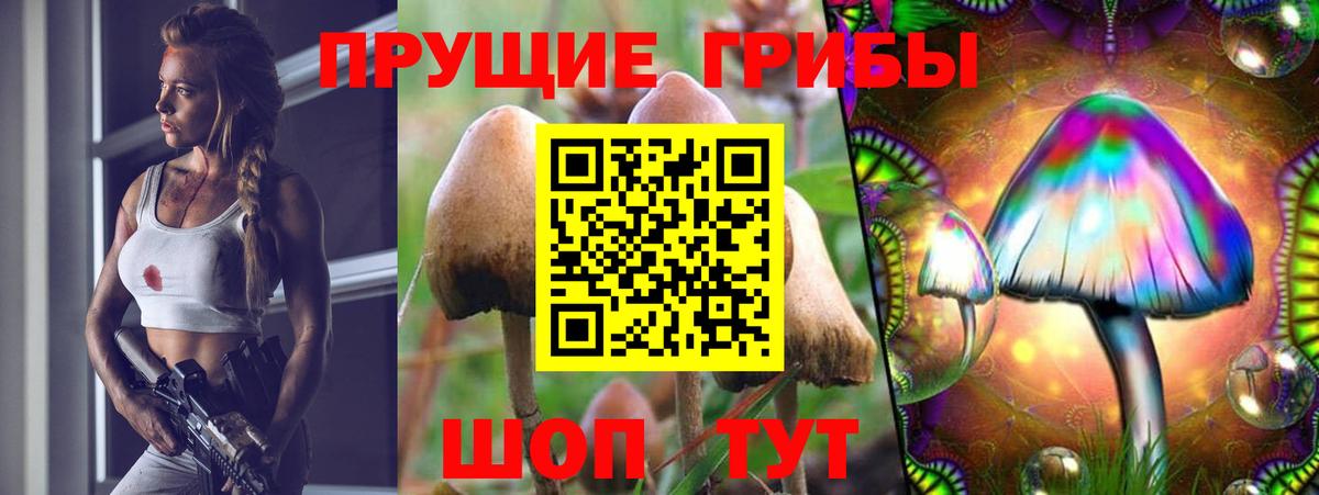 Галлюциногенные грибы Cubensis Волоколамск